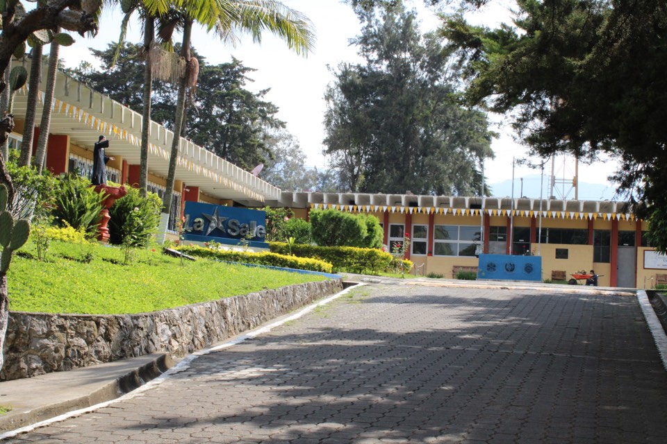 Camino de acceso con jardines hacia los edificios del Instituto
